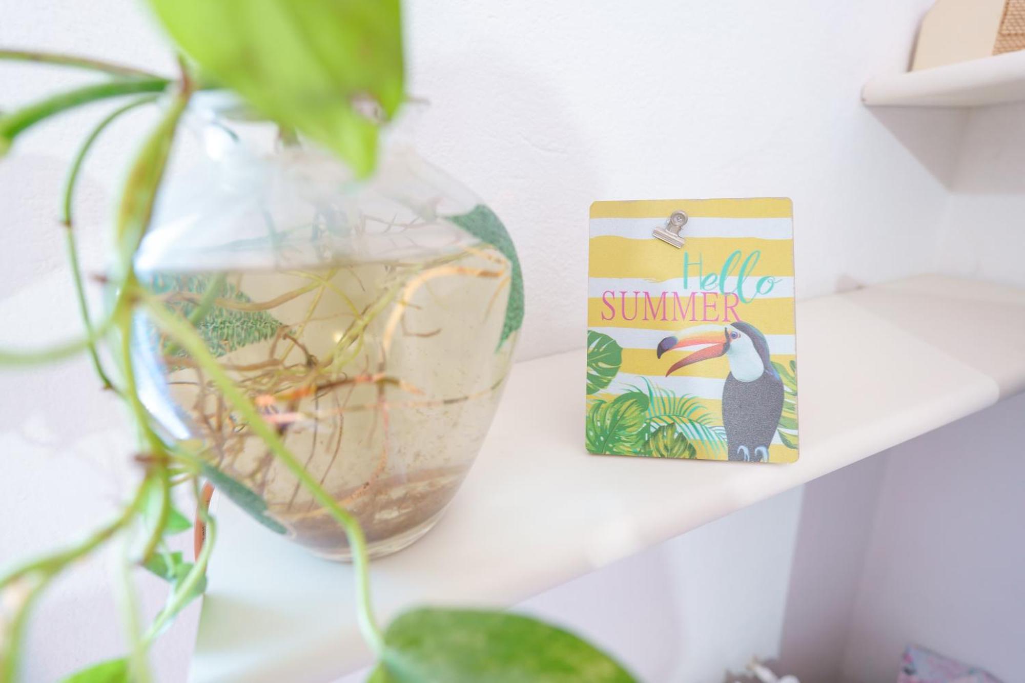 B&B Pothos - Eng Ita - Air Conditioning Wi-Fi Fridge Netflix Local Guide - Aria Condizionata, Frigo, Internet, Guida Locale Кальяри Экстерьер фото